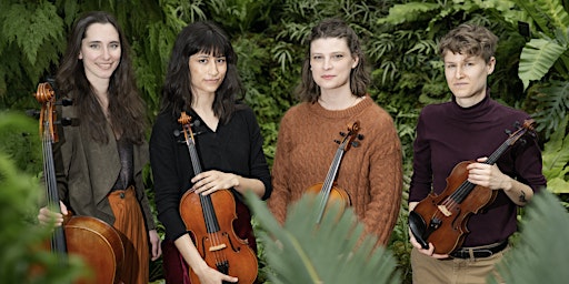 Varo String Quartet Concert  primärbild