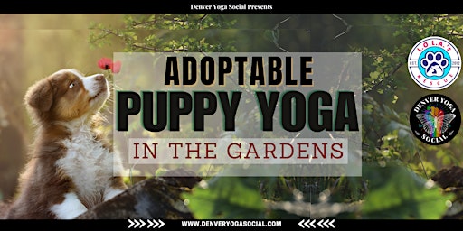 Primaire afbeelding van Adoptable Puppy Yoga in the Gardens + Social Hour