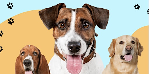 Primaire afbeelding van Meet Therapy Dogs in Denmark Road! Open to City Halls Residents