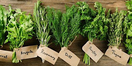 Cooking with Herbs Experience