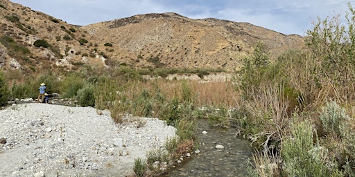 Image principale de Whitewater Preserve field trip