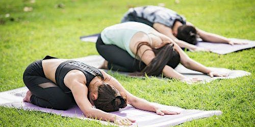 Sunset Yin Yoga and Meditation at the Park primary image