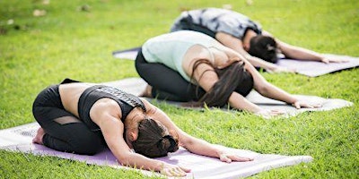 Primaire afbeelding van Sunset Yin Yoga and Sound Bath at the Park