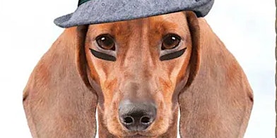 Return of the Wiener Dog primary image