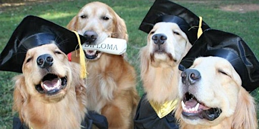 Imagem principal do evento Service Dog Graduation Ceremony