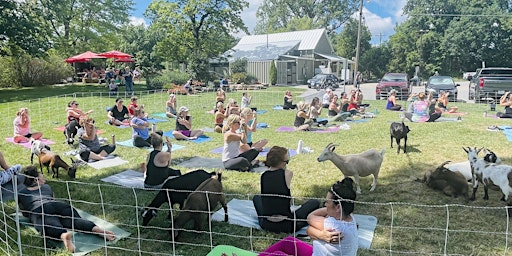 Goat Yoga at Pierpont General Store-  Columbia, MO primary image