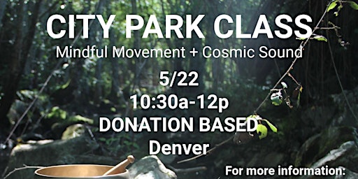 Imagem principal de PARK CLASS! Mindful Movement (Yoga) + Cosmic Sound Bath