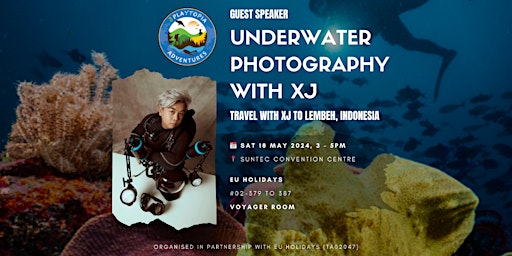 Imagem principal do evento Underwater Photography with XJ - Travel with XJ to Lembeh, Indonesia
