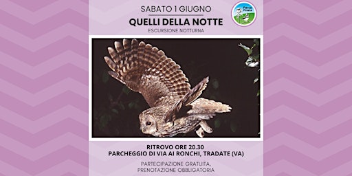 Hauptbild für Escursione - Quelli della notte