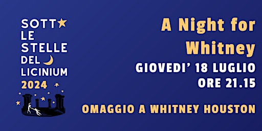 Imagen principal de A night for Whitney