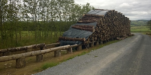 Site visit organized by WFQA/IrBEA: Exploring wood fuel drying - Limerick  primärbild