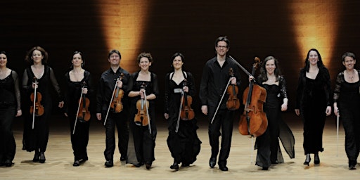 Immagine principale di Scottish Ensemble 