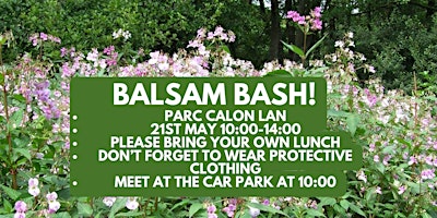 Imagem principal do evento Park Calon Lan Balsam Bash   /   Waldio’r Ffromys Parc Calon Lan