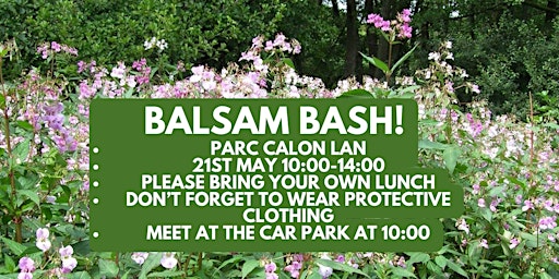 Park Calon Lan Balsam Bash   /   Waldio’r Ffromys Parc Calon Lan