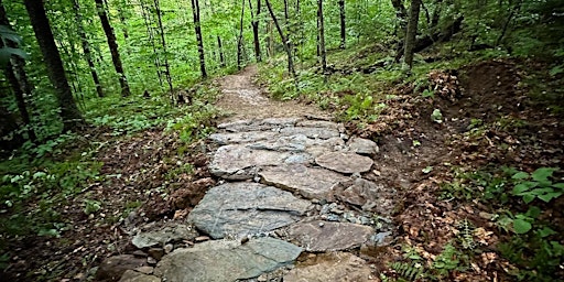 Imagem principal de Trail Skills for Professional Trail Workers