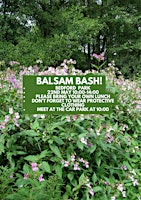 Ogmore Washeries Balsam Bash   /   Waldio’r Ffromys Golchfeydd Ogwr