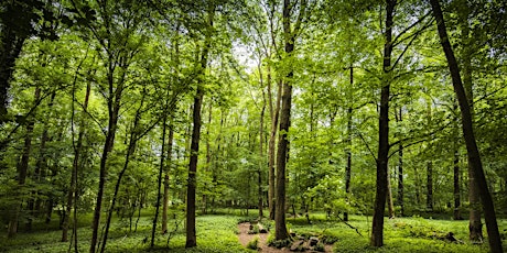 Managing a Sustainable Woodland for Nature and People