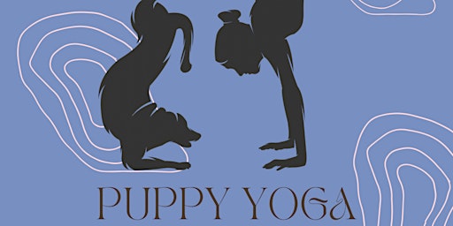 Imagem principal do evento Puppy Yoga!!
