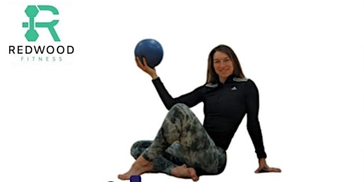 Pilates using the mini ball workshop primary image