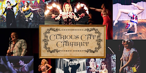 Hauptbild für Summer Curious Cat Cabaret