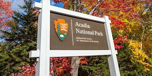 Primaire afbeelding van Acadia National Park Self-Guided Driving Tour