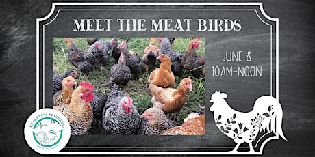 Imagem principal do evento Meet the Meat Birds