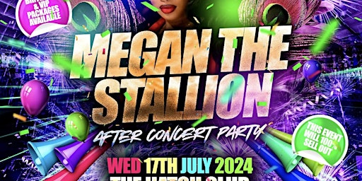 Megan The Stallion - After Concert Party