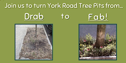 York Road Volunteer MAY Flower Planting primary image