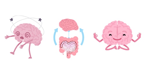 Primaire afbeelding van The Gut-Brain Axis: A Yogi's View