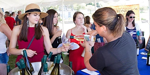 Fredericksburg Chocolate, Cheese and Wine Festival primary image