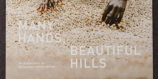 Many Hands, Beautiful Hills Burundi Box Cupping primary image