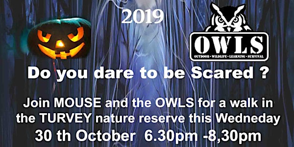 OWLS Halloween Scare Walk