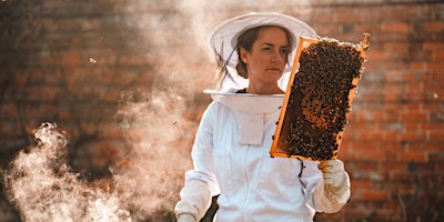 A spotlight on honey with Amy Newsome primary image
