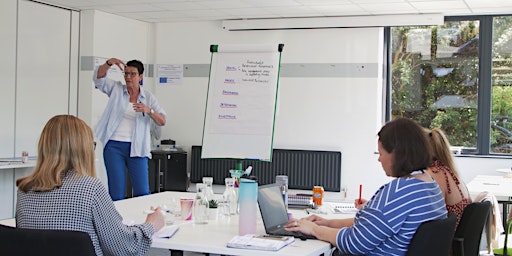 Primaire afbeelding van Business Innovation, Sustainability and Growth Course