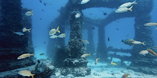Imagem principal do evento Chartered Day Trip to The Neptune Memorial Reef