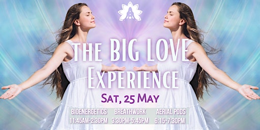 THE BIG LOVE EXPERIENCE: Bioenergetics + Breathwork +Aerial Relaxation Pods primary image