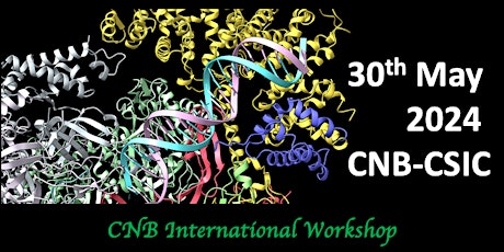 Workshop Last advances in the DNA & RNA metabolism research
