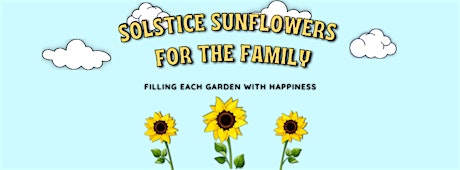 Solstice Sunflowers For The Family