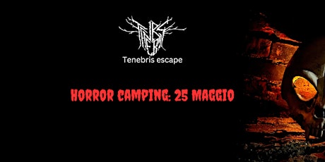 Horror Camping Experience
