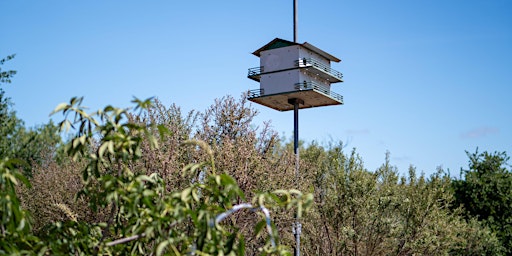 Hauptbild für Beautify Plata Arroyo Bird Sanctuary!