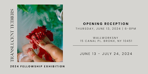 Primaire afbeelding van Translucent Tethers: The 2024 Fellowship Exhibition - Opening Reception