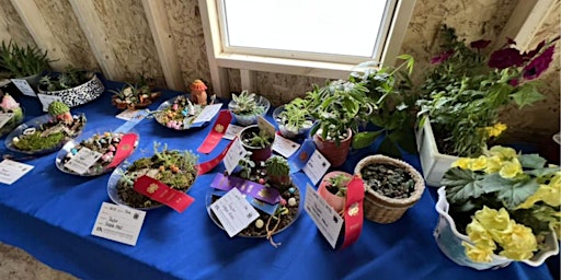 Imagem principal do evento Horticulture Fair Project Workshop - Taylor County 4-H - Horticulture Club