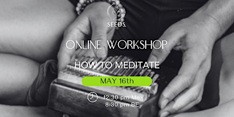 SEEDS Online Guided Meditation - "How to" Workshop