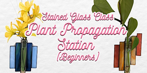 Imagem principal de Stained Glass Class - Plant Propagation Station (Beginners) 6/9