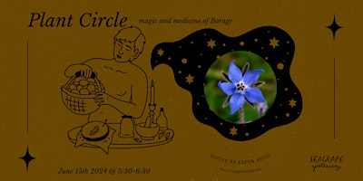 Imagem principal do evento June Plant Circle: Borage *In-Person*