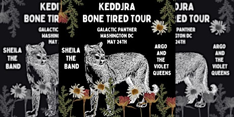 Keddjra with Argo and the Violet Queens and Sheila the Band - Live Music