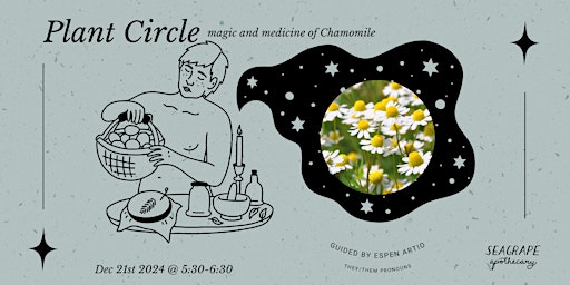 Imagem principal do evento December Plant Circle: Chamomile *In-Person*