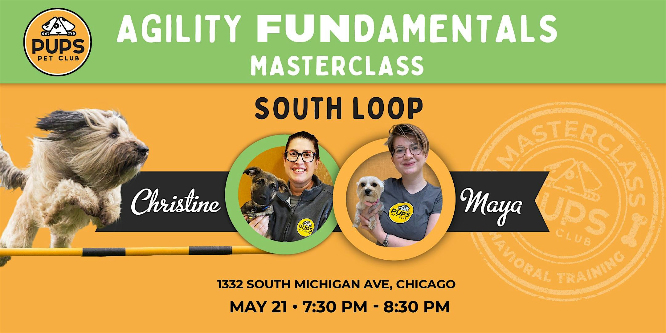 Agility FUNdamentals for Dogs – SOUTH LOOP 21