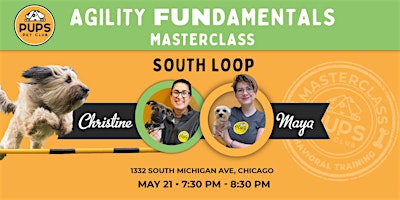 Primaire afbeelding van Agility FUNdamentals for Dogs - SOUTH LOOP 21