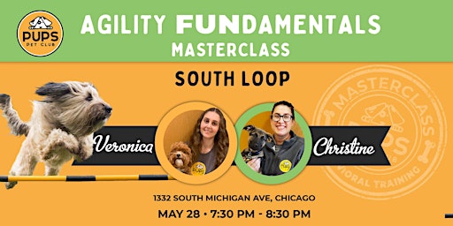Agility FUNdamentals for Dogs - SOUTH LOOP 28 primary image